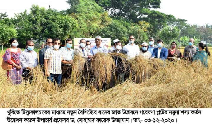 টিস্যুকালচার